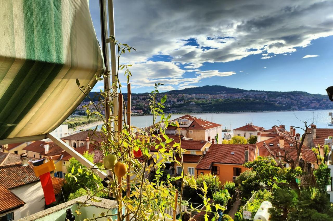Maestral Apartment Koper Exterior photo